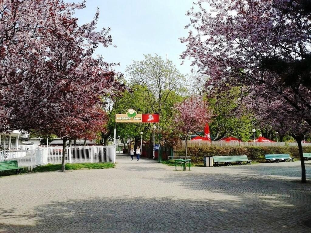 Modern Apartment Riegrovy Sady Praga Exterior foto